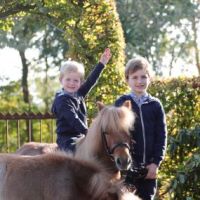 Dohms-Warnecke 18 0097.JPG